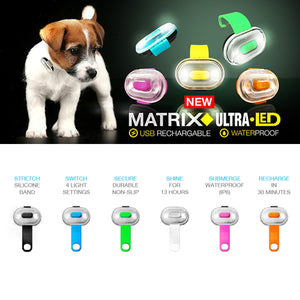 
                  
                    Max & Molly LED Dog Collar Light
                  
                