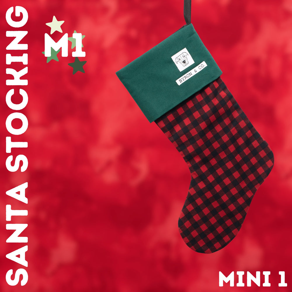 
                  
                    Byron & Co Santa Stockings
                  
                