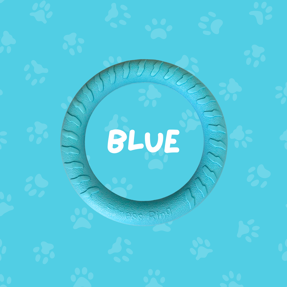 
                  
                    Foam Ring Dog Toy
                  
                