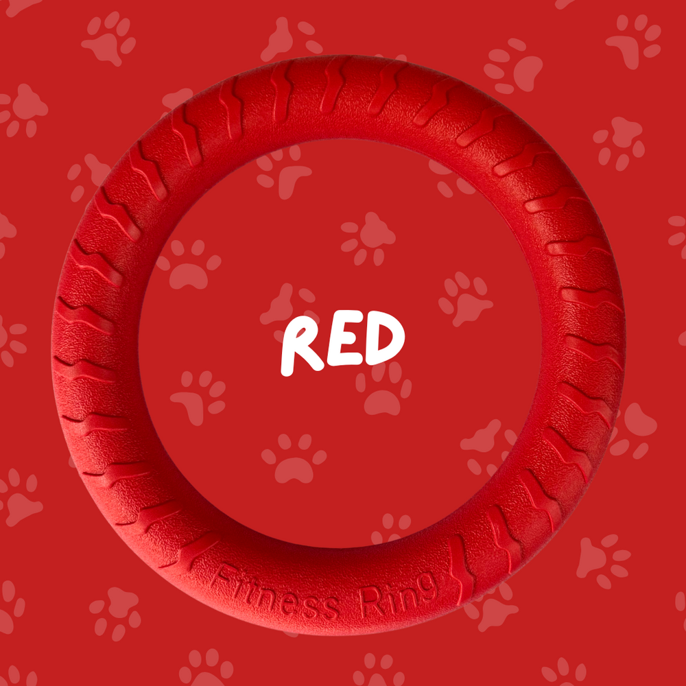 
                  
                    Foam Ring Dog Toy
                  
                