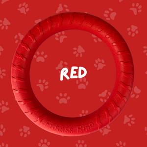 
                  
                    Foam Ring Dog Toy
                  
                
