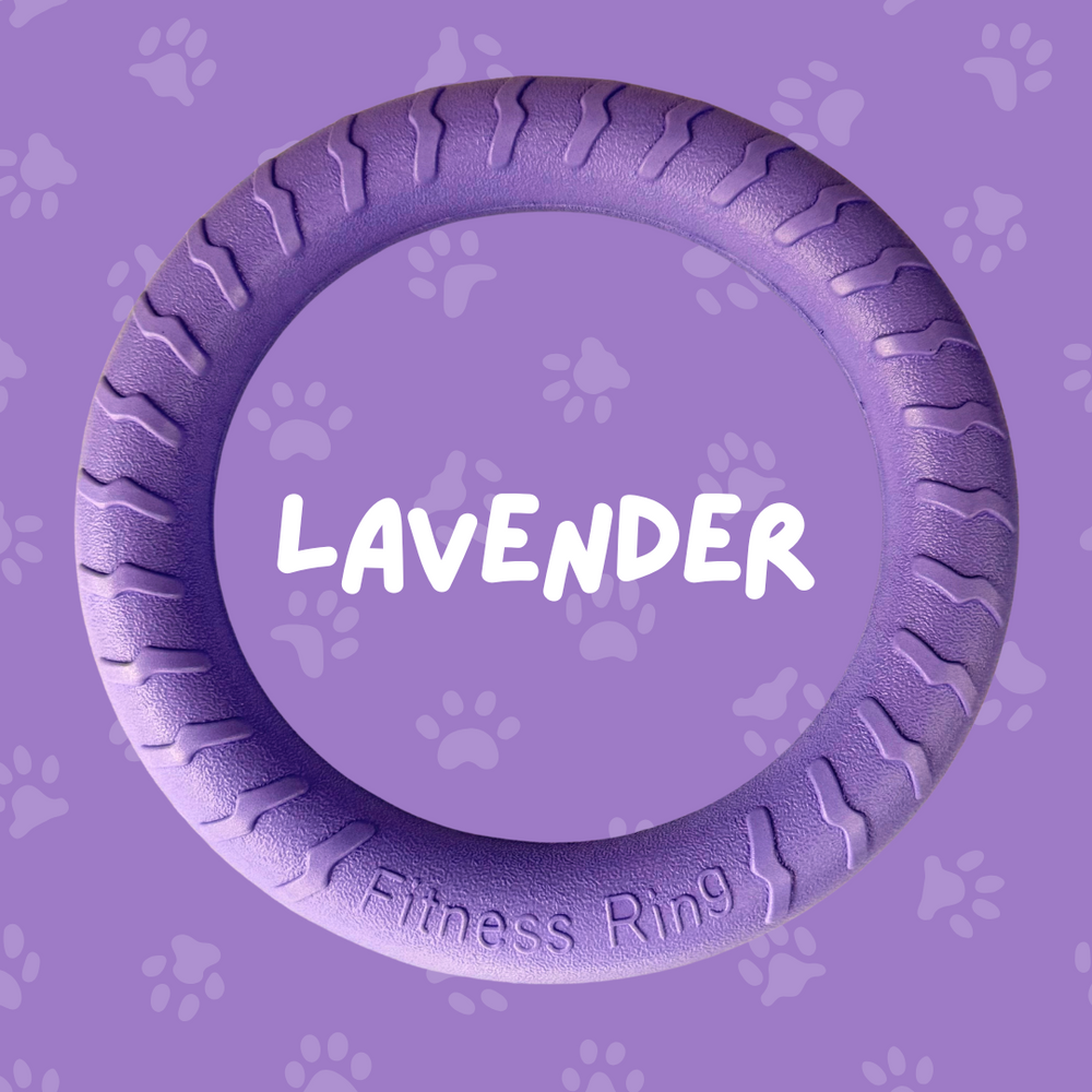 
                  
                    Foam Ring Dog Toy
                  
                