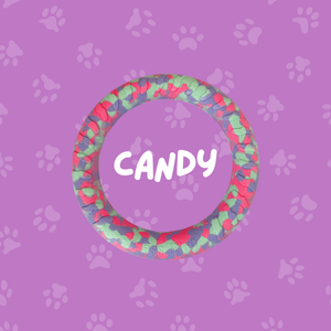 
                  
                    Foam Ring Dog Toy
                  
                