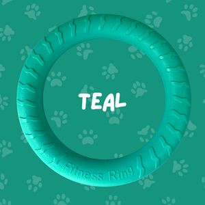 
                  
                    Foam Ring Dog Toy
                  
                
