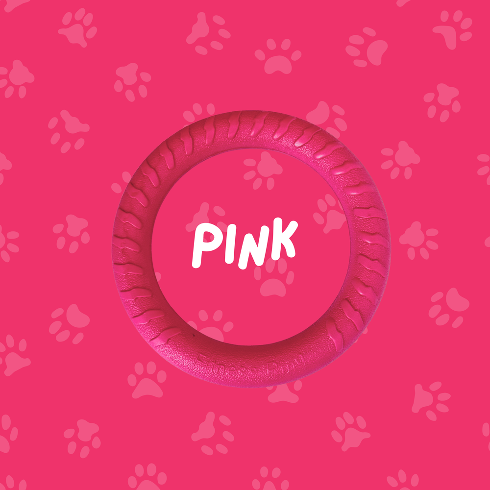 
                  
                    Foam Ring Dog Toy
                  
                