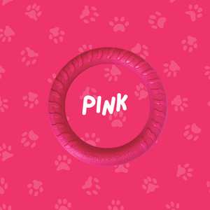 
                  
                    Foam Ring Dog Toy
                  
                