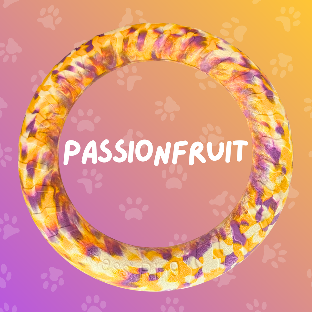 
                  
                    Foam Ring Dog Toy
                  
                