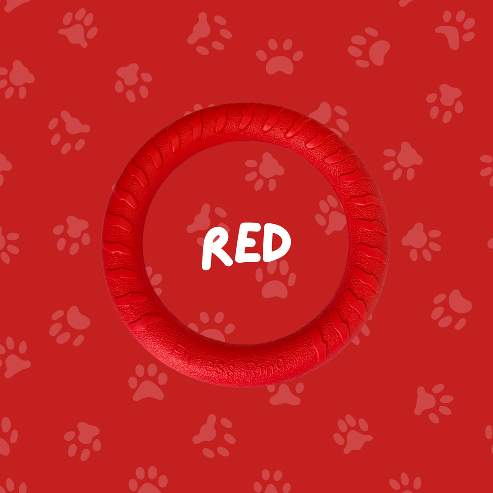 
                  
                    Foam Ring Dog Toy
                  
                