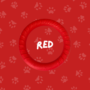 
                  
                    Foam Ring Dog Toy
                  
                