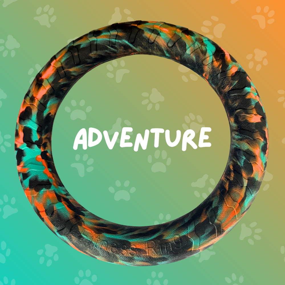 
                  
                    Foam Ring Dog Toy
                  
                