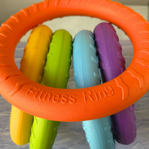
                  
                    Foam Ring Dog Toy
                  
                