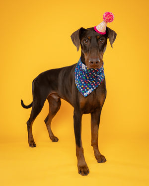 
                  
                    Busy Blooms Bandana
                  
                