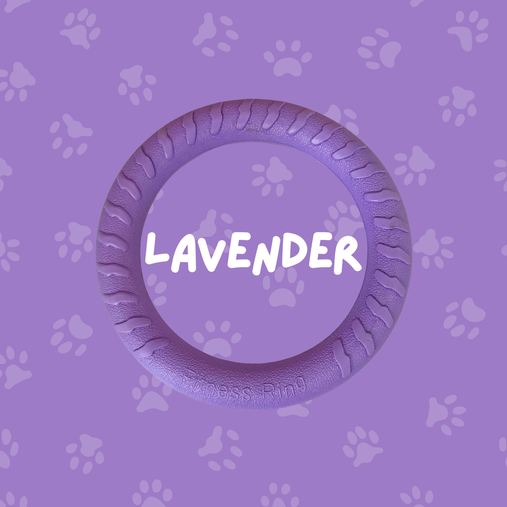 
                  
                    Foam Ring Dog Toy
                  
                