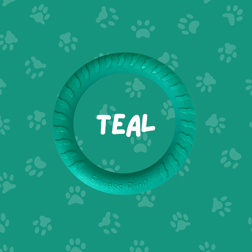 
                  
                    Foam Ring Dog Toy
                  
                