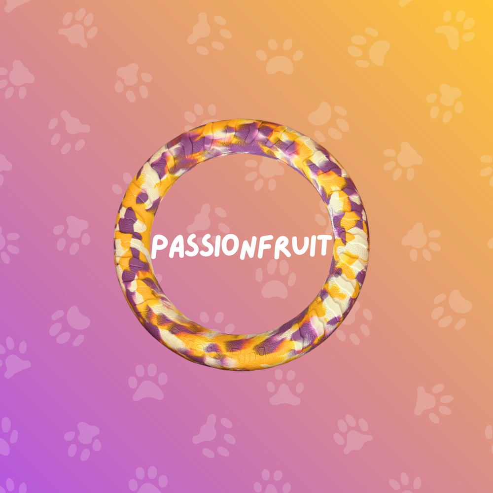 
                  
                    Foam Ring Dog Toy
                  
                