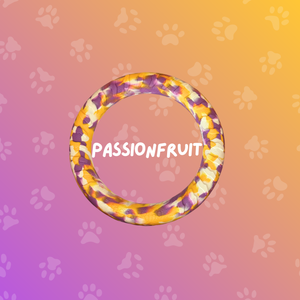 
                  
                    Foam Ring Dog Toy
                  
                