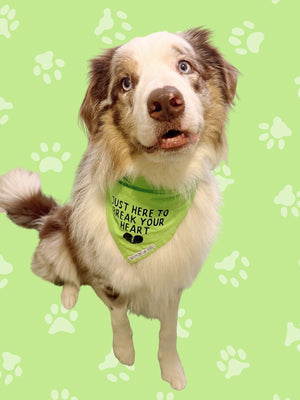 
                  
                    Limited Edition Light Green Bandana
                  
                
