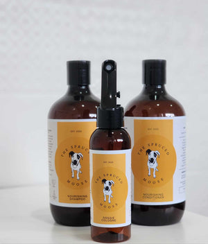 
                  
                    Coconut & Mango Grooming Bundle - The Spruced Moose
                  
                