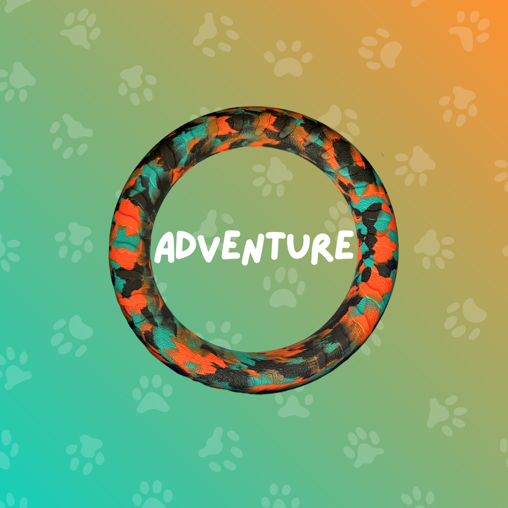 
                  
                    Foam Ring Dog Toy
                  
                