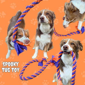 
                  
                    Halloween Themed Spooky Fleece Tug Toy
                  
                