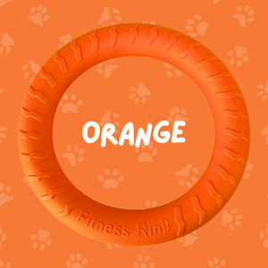 
                  
                    Foam Ring Dog Toy
                  
                