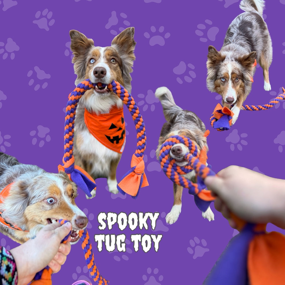 
                  
                    Halloween Themed Spooky Fleece Tug Toy
                  
                
