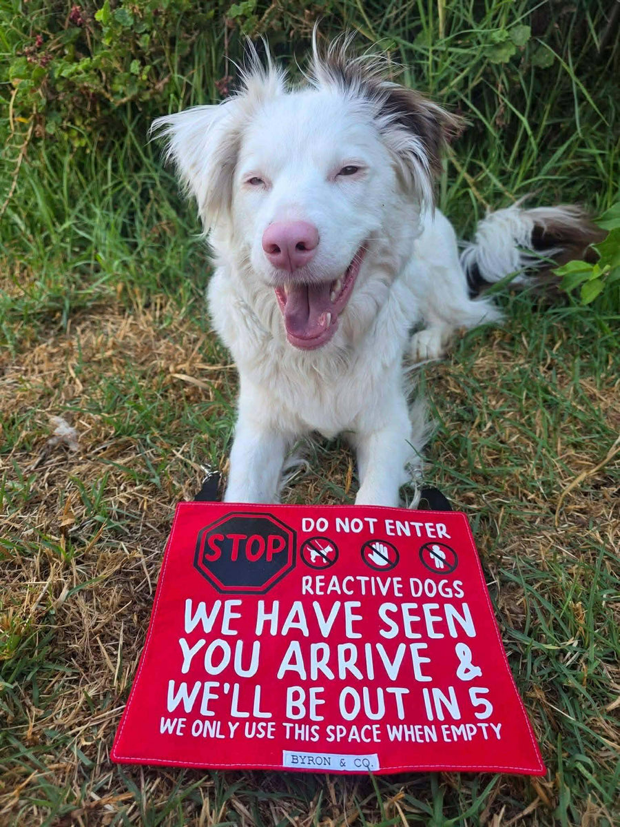 Reactive Dogs Park Sign | Dog Park Sign | Byron & Co Pet Accessories