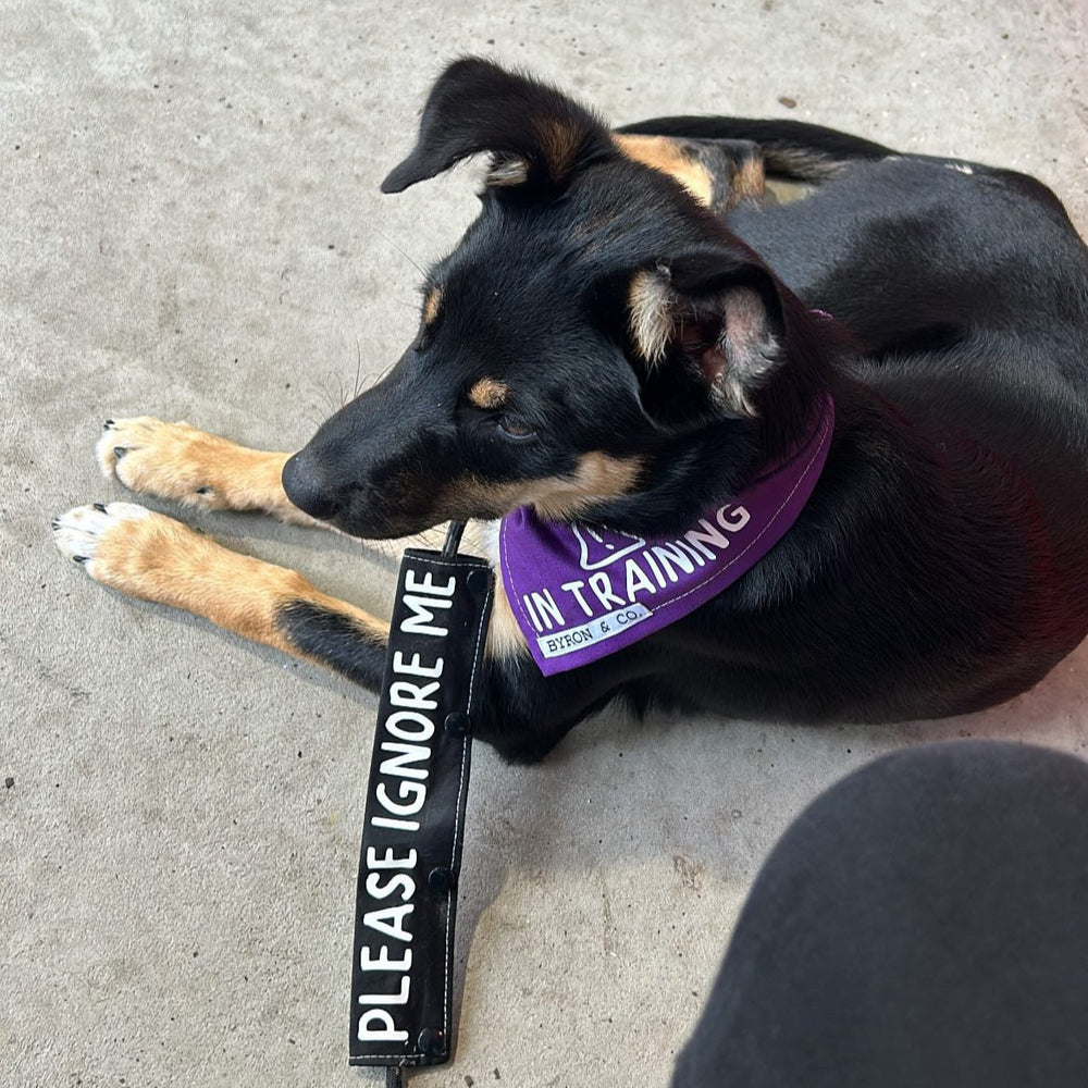 
                  
                    Double Sided Dog Leash Wrap / Dog Leash Sleeve / Lead Sleeve
                  
                