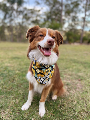 Sunflower Spot Bandana
