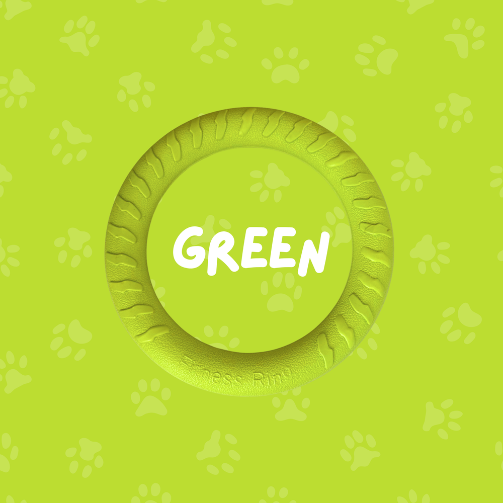
                  
                    Foam Ring Dog Toy
                  
                