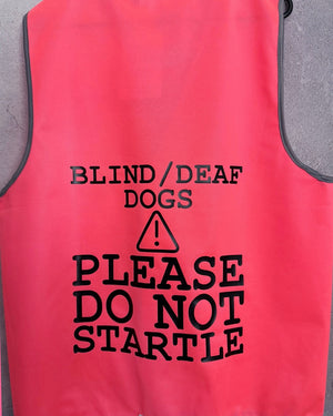 
                  
                    Awareness Dog Training Custom Wording Vest | Hi Vis Vest | Human Dog Training Vest
                  
                