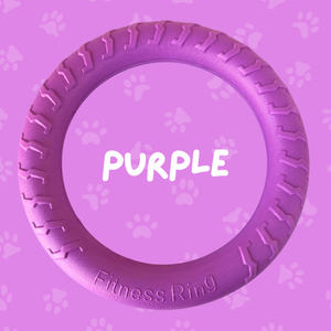 
                  
                    Foam Ring Dog Toy
                  
                