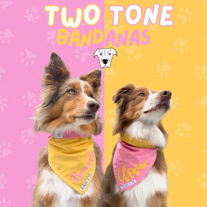 
                  
                    Two Tone Bandana
                  
                