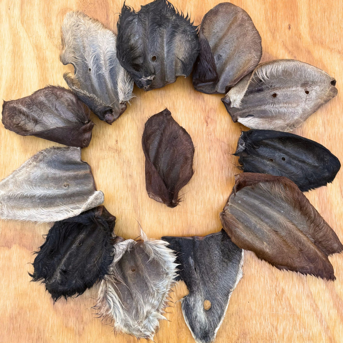 Beef Ears With Fur | Dog Treat Chew | Hairy Cow Ears