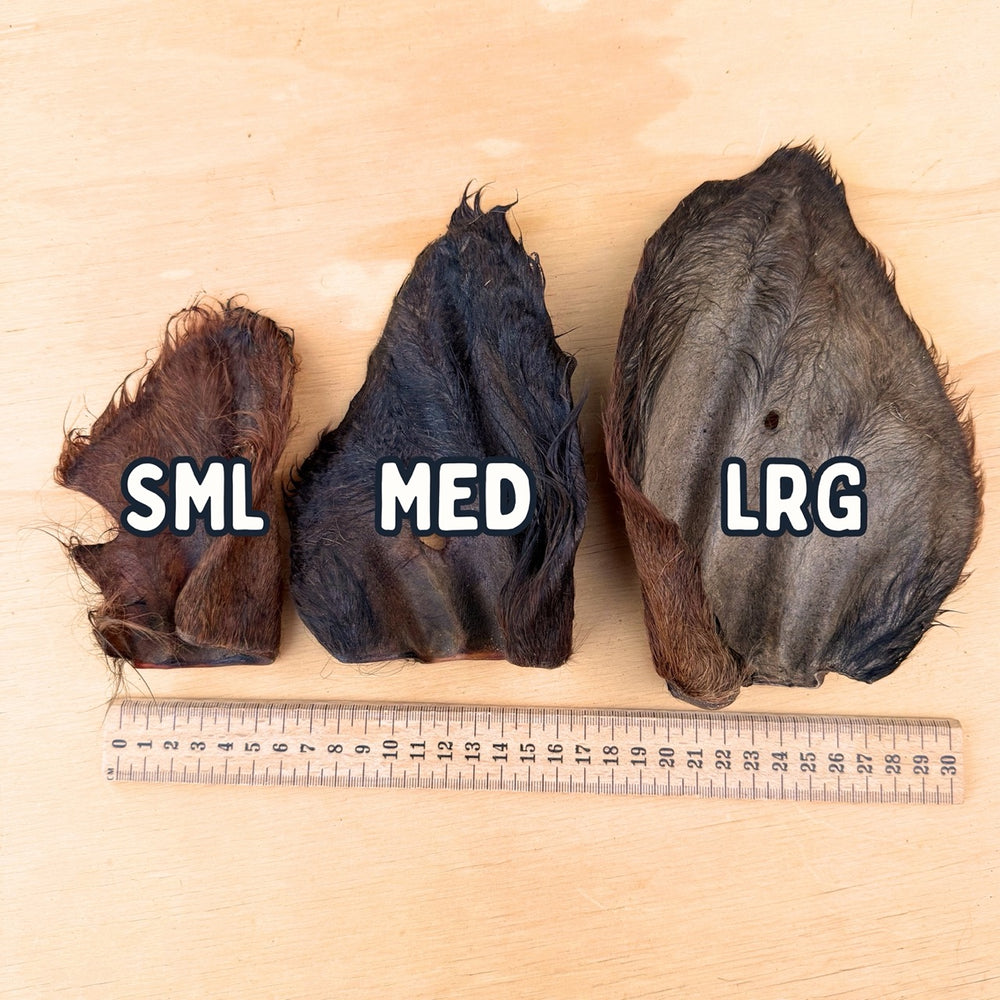 
                  
                    Beef Ears With Fur | Dog Treat Chew | Hairy Cow Ears
                  
                