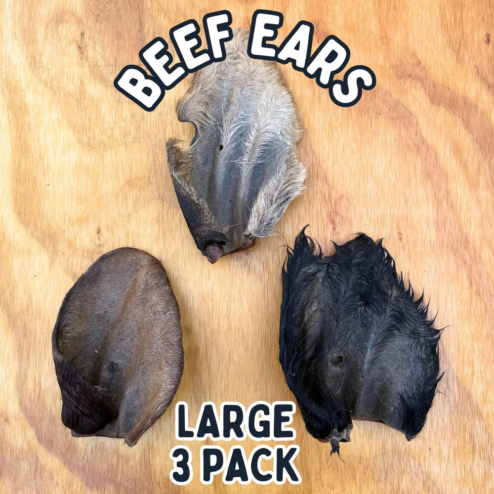 
                  
                    Beef Ears With Fur | Dog Treat Chew | Hairy Cow Ears
                  
                