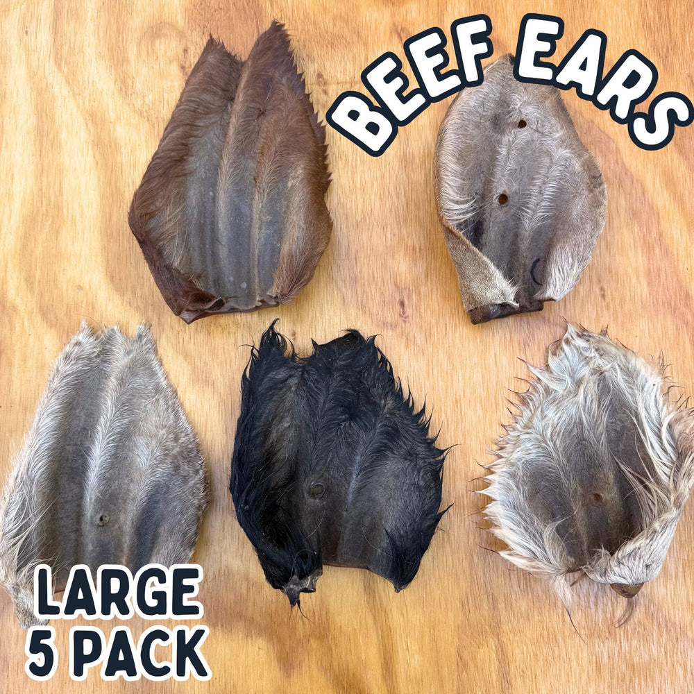 
                  
                    Beef Ears With Fur | Dog Treat Chew | Hairy Cow Ears
                  
                