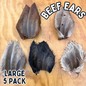 
                  
                    Beef Ears With Fur | Dog Treat Chew | Hairy Cow Ears
                  
                