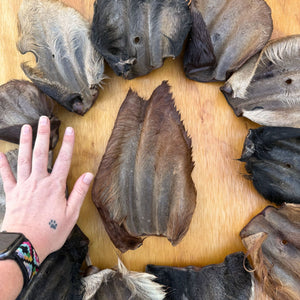 
                  
                    Beef Ears With Fur | Dog Treat Chew | Hairy Cow Ears
                  
                