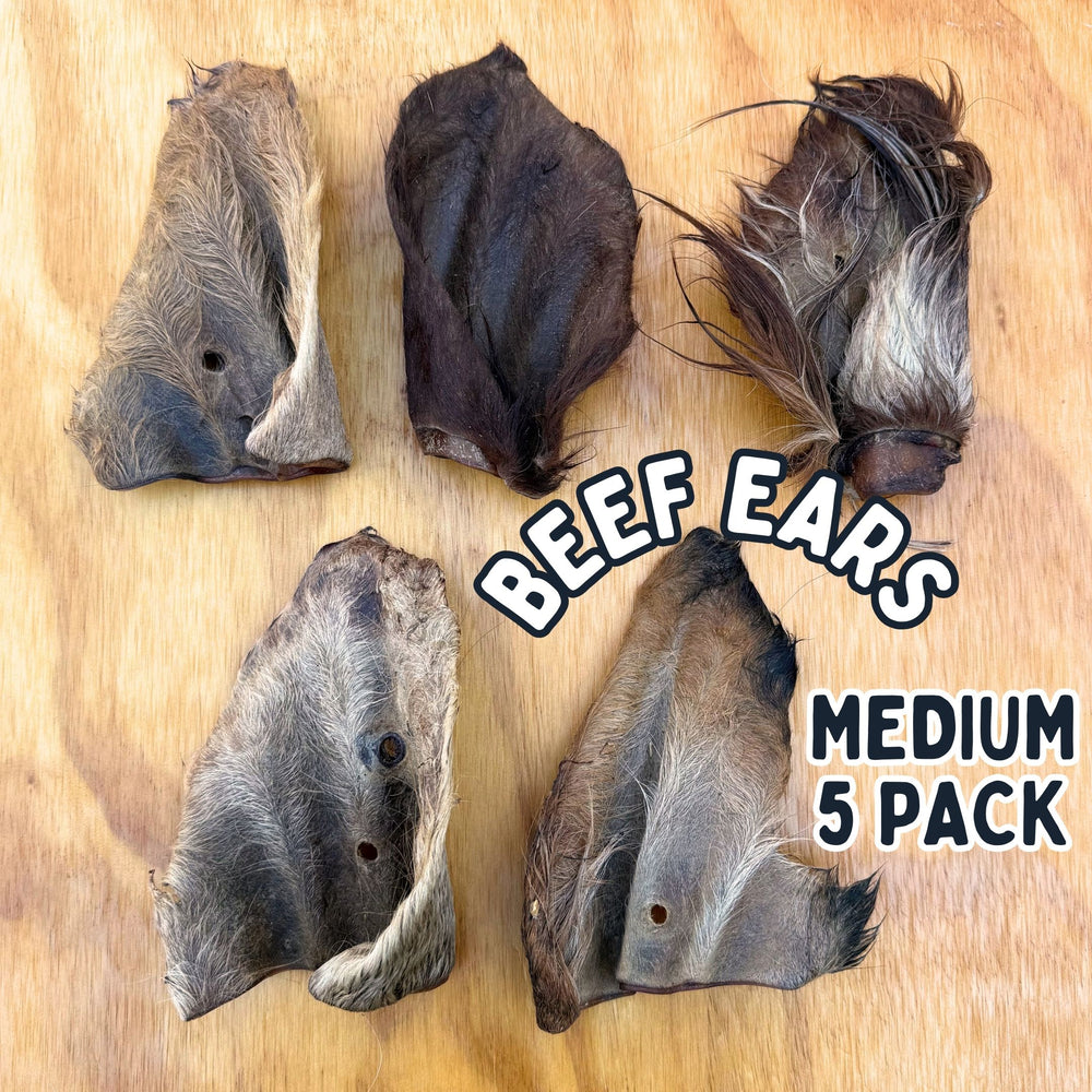 
                  
                    Beef Ears With Fur | Dog Treat Chew | Hairy Cow Ears
                  
                
