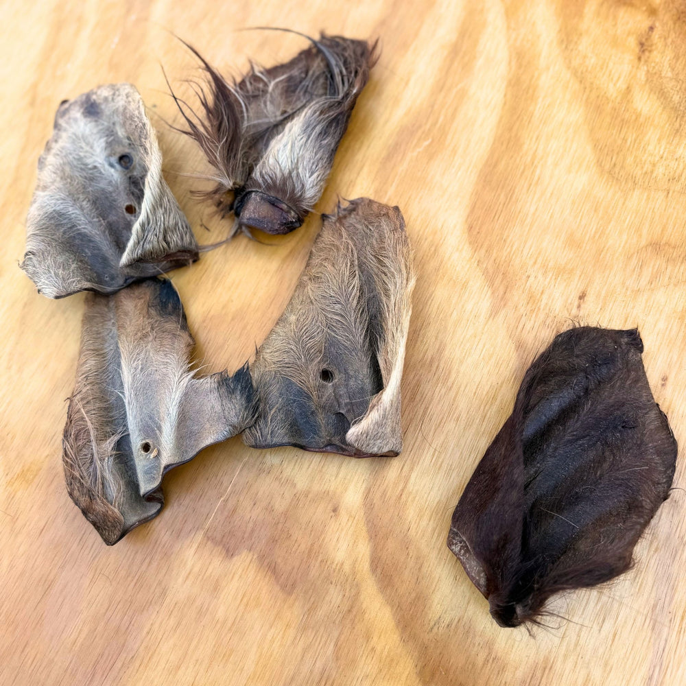 
                  
                    Beef Ears With Fur | Dog Treat Chew | Hairy Cow Ears
                  
                
