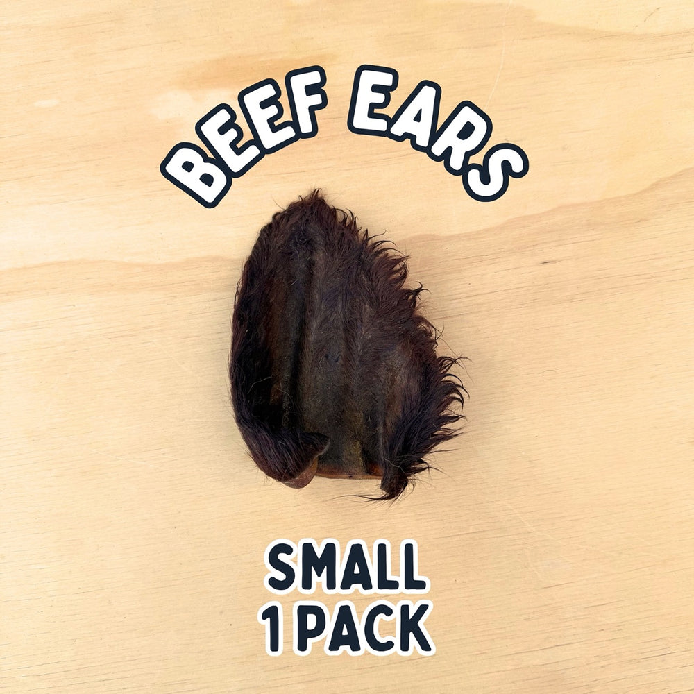 
                  
                    Beef Ears With Fur | Dog Treat Chew | Hairy Cow Ears
                  
                