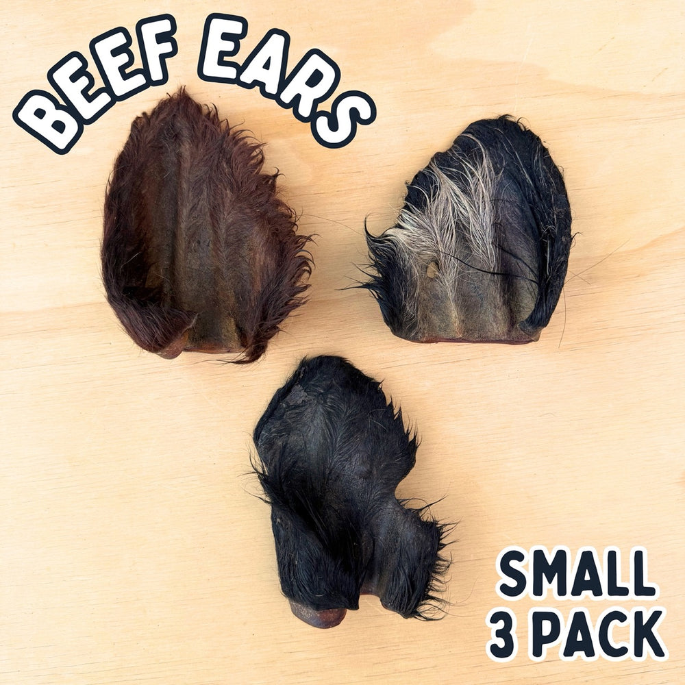 
                  
                    Beef Ears With Fur | Dog Treat Chew | Hairy Cow Ears
                  
                