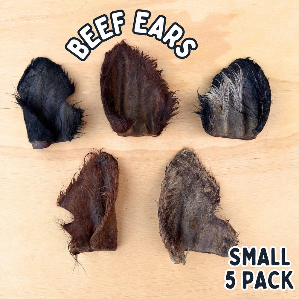 
                  
                    Beef Ears With Fur | Dog Treat Chew | Hairy Cow Ears
                  
                