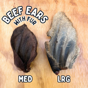 
                  
                    Beef Ears With Fur | Dog Treat Chew | Hairy Cow Ears
                  
                
