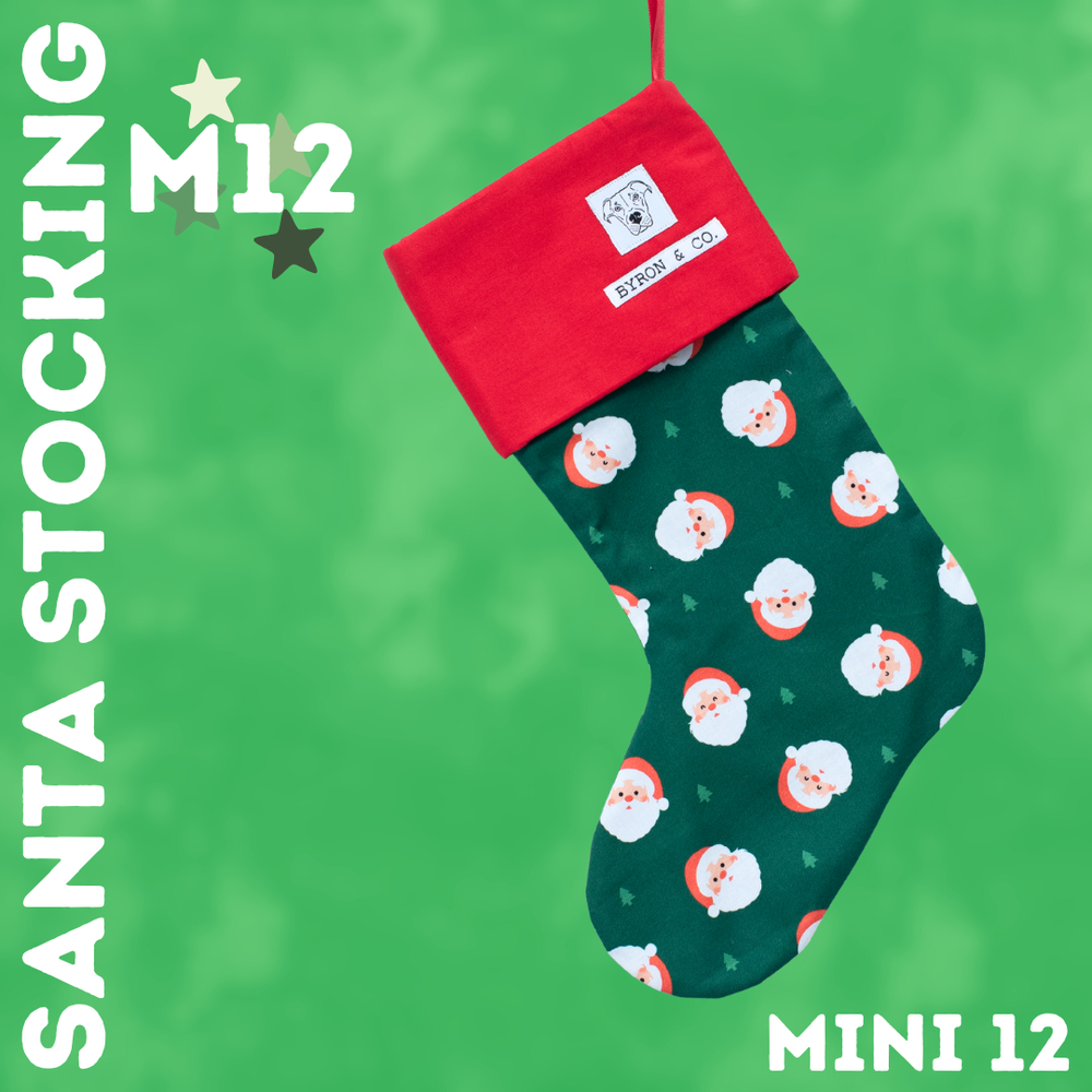 
                  
                    Byron & Co Santa Stockings
                  
                