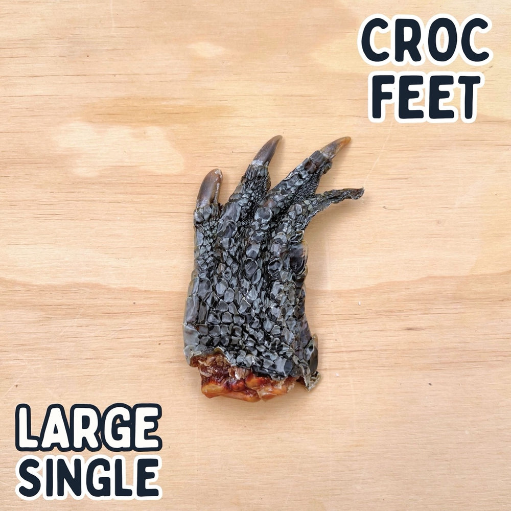 
                  
                    Crocodile Feet for Dogs | Dog Treat Chew | Croc Feet
                  
                