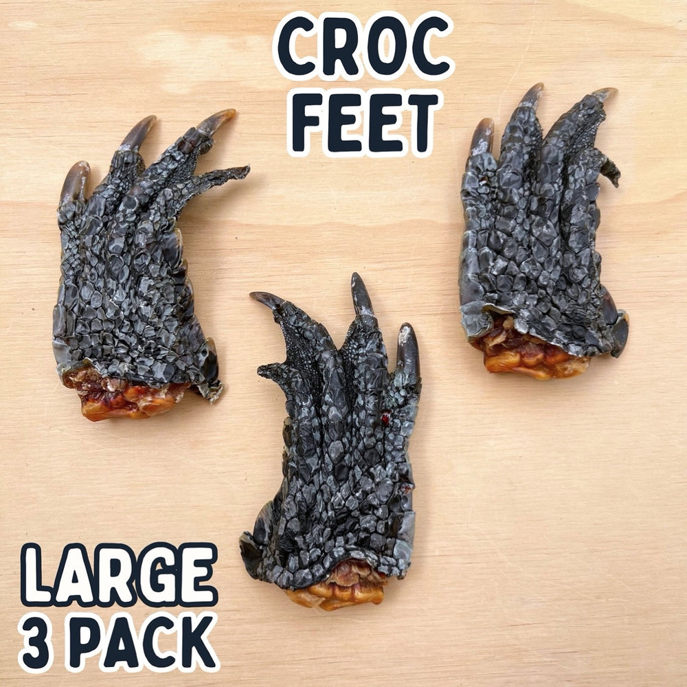 
                  
                    Crocodile Feet for Dogs | Dog Treat Chew | Croc Feet
                  
                