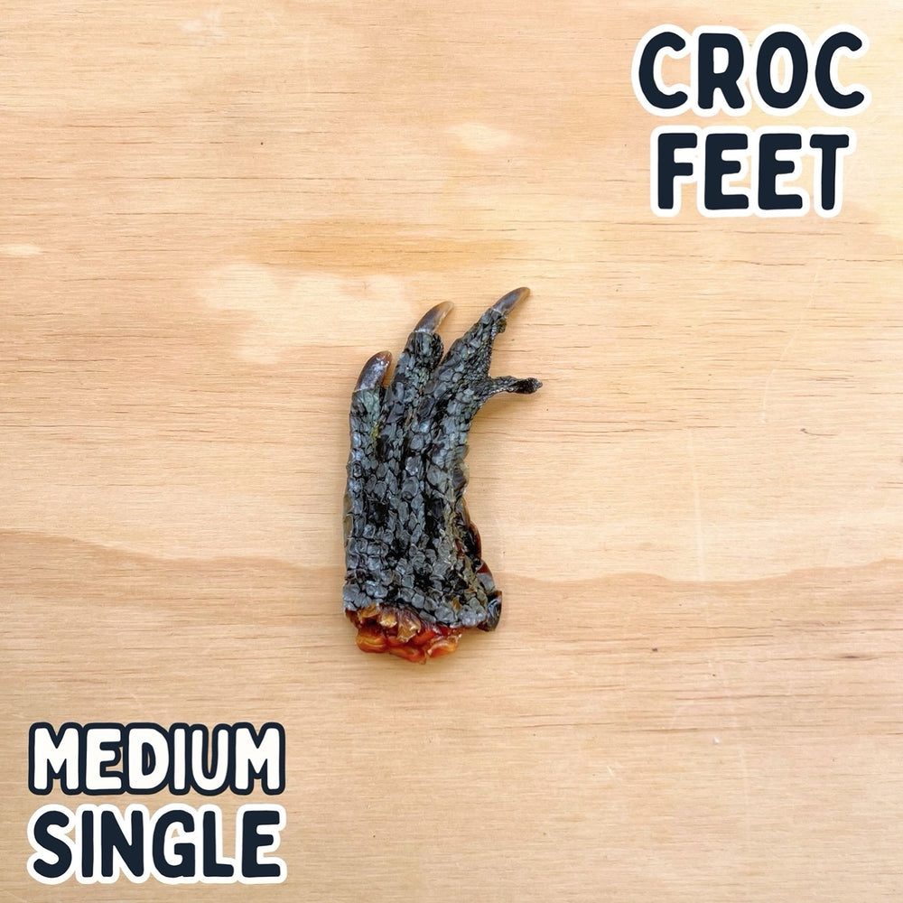 
                  
                    Crocodile Feet for Dogs | Dog Treat Chew | Croc Feet
                  
                