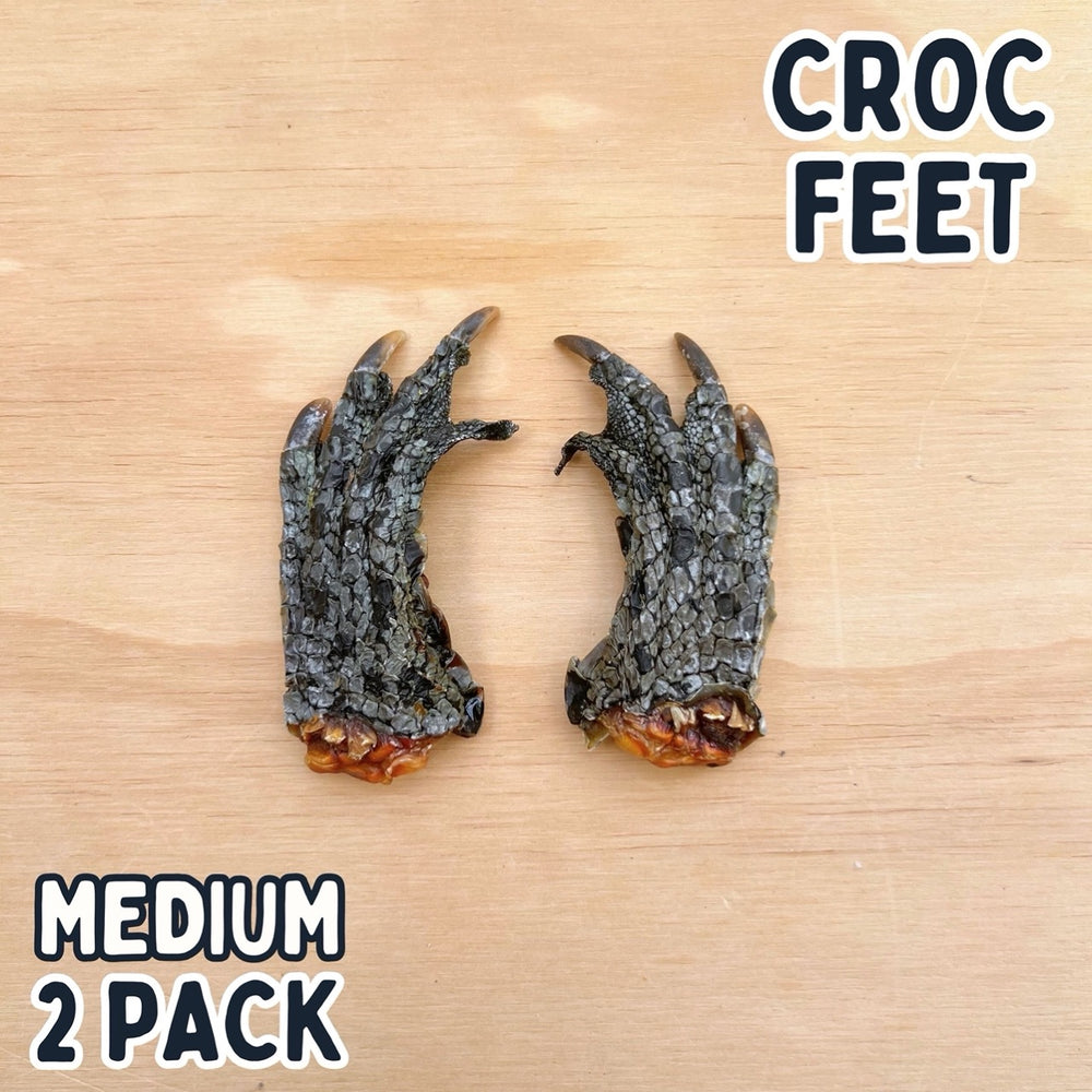 
                  
                    Crocodile Feet for Dogs | Dog Treat Chew | Croc Feet
                  
                